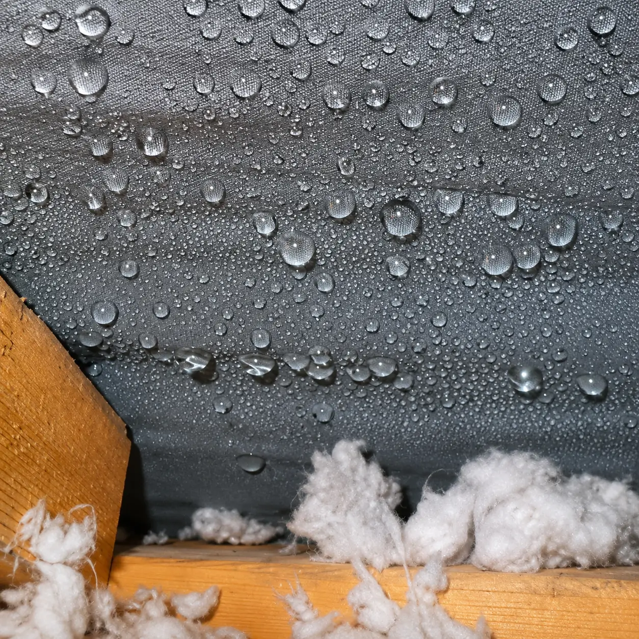 Condensation running down roof sheeting above damp insulation